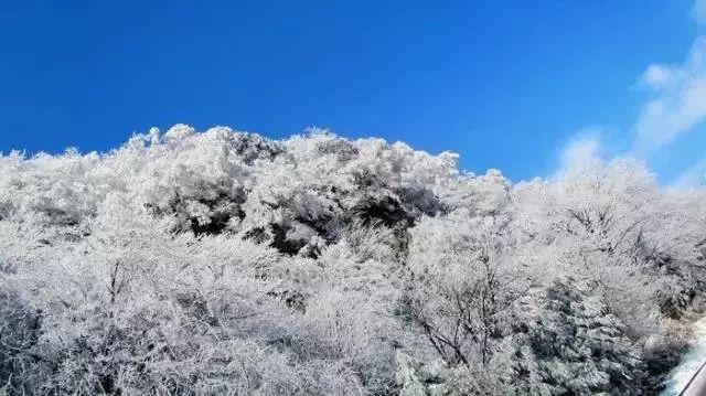 奥日与精灵意志