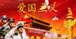 救援非洲金猫