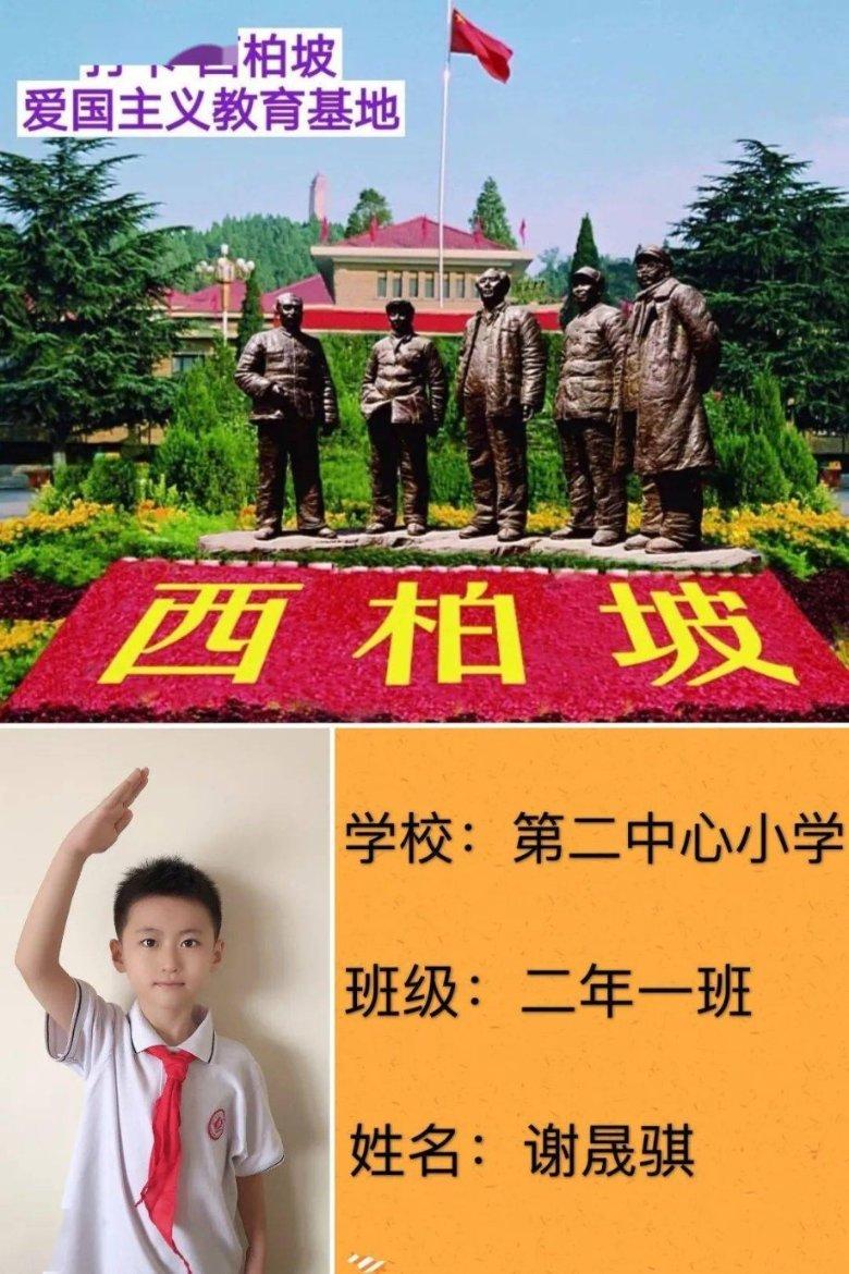 虫虫助手下载