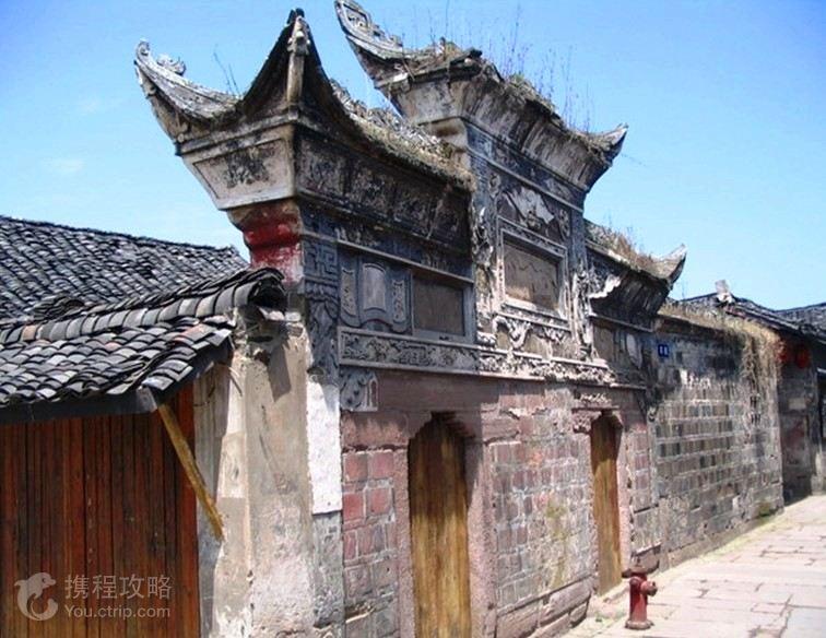救援受困的火鸡