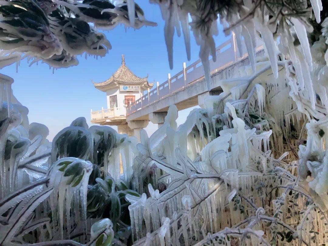 公主设计师大赛